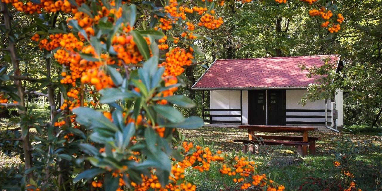 Hodoseri Vadaszhaz Bakonyszentlaszlo Exterior foto