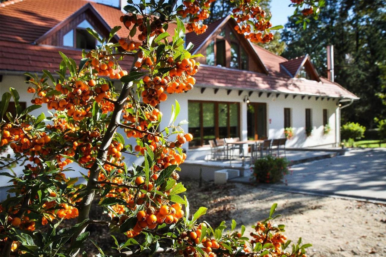 Hodoseri Vadaszhaz Bakonyszentlaszlo Exterior foto